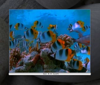 Aquarium Widget