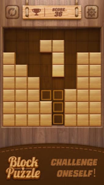 Wood Block Puzzle 3D