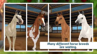 Horse Hotel - be the manager of your own ranch