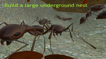 Ant Simulator 3D