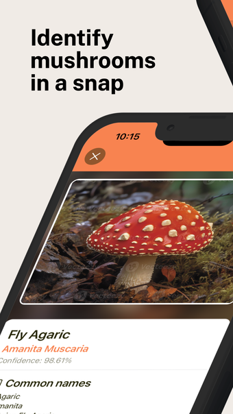 Mushroom Identification Pro