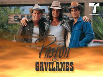 Pasion de Gavilanes