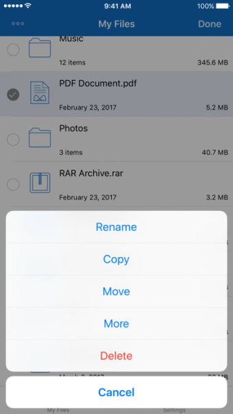 File Manager for iPhone