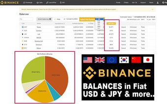 Binance balances in Fiat Currency