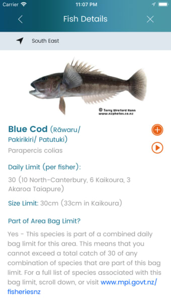 NZ Fishing Rules
