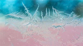 Ice Crystals PREMIUM