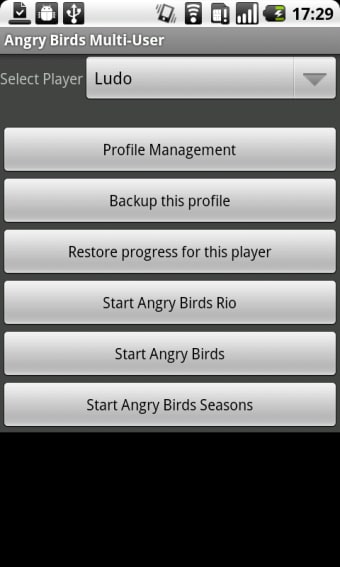 Angry Birds Multi User