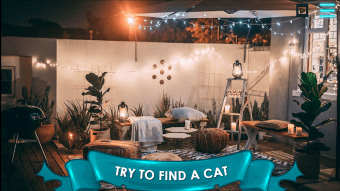 Find a Cat 2: Hidden Object