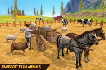 Horse Cart Farm Transport