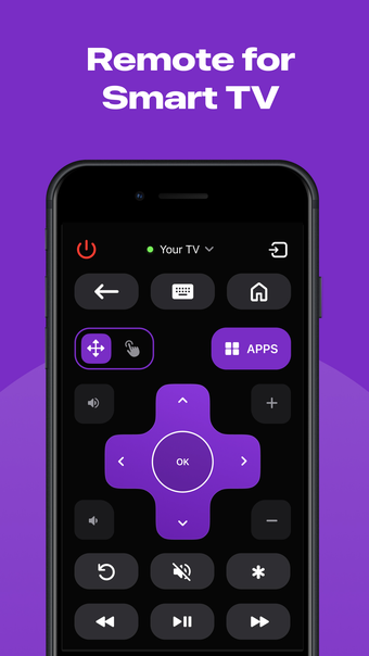 Roku TV Remote Control  Cast