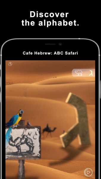 Cafe Hebrew: Safari