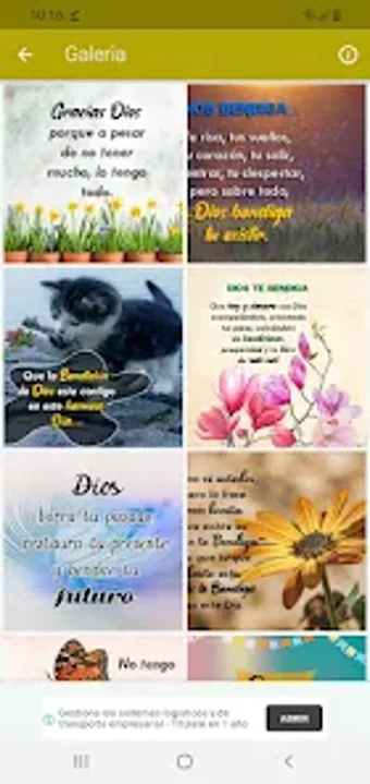 Frases y Bendiciones de Dios