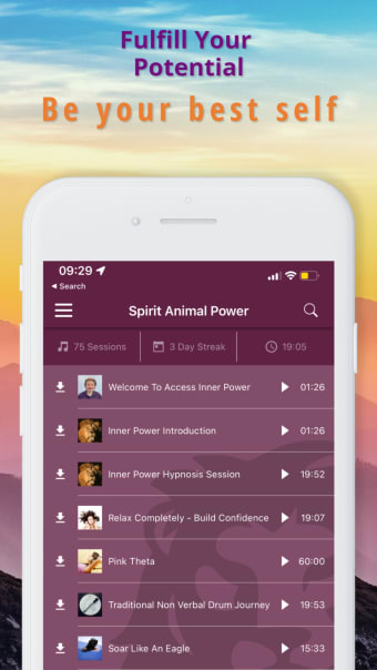 Spirit Animal Power