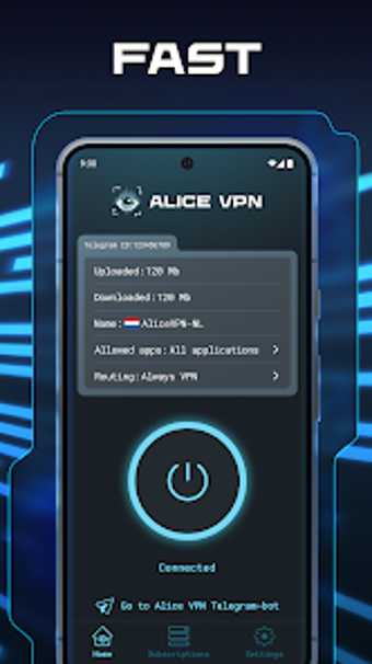 Alice VPN