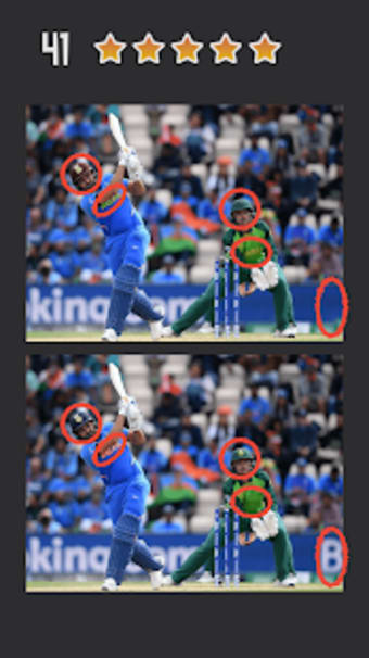 Spot the Differences - Cricket World Cup 2019