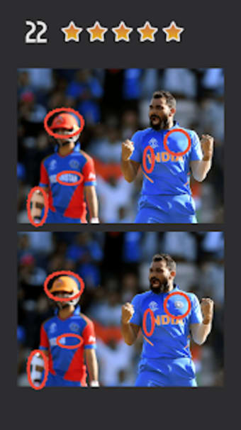 Spot the Differences - Cricket World Cup 2019