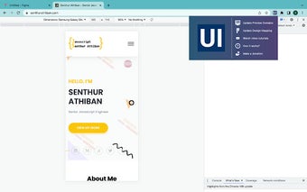 UI Verifier