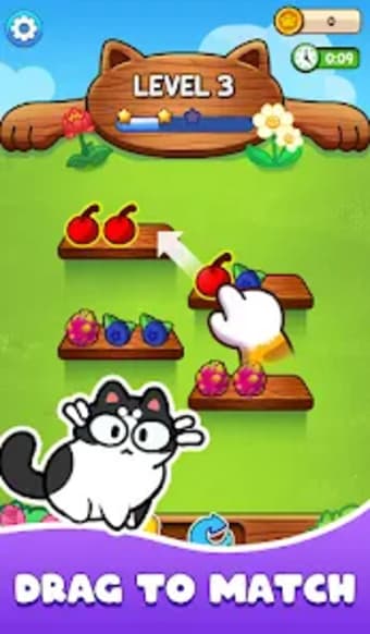 Cat  Fruit: Triple Match 2D