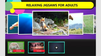 Relaxing Jigsaw Puzzles for Adults