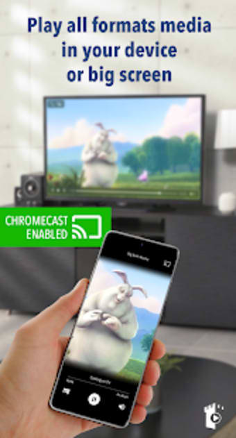 CastL Media - Chromecast Enabled All Format Player