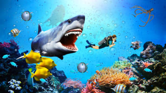 Angry Shark Attack - Wild Shark Game 2019