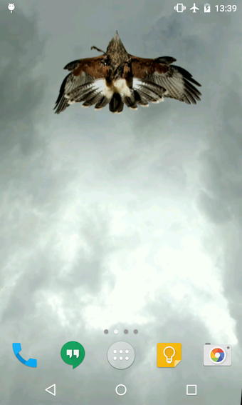 Eagle Live Wallpaper