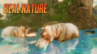 The Hippo - Animal Simulator