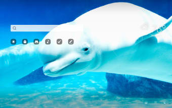 Beluga Whale HD Wallpapers New Tab