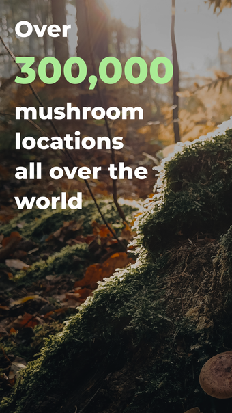 Mushroom Spot: mushroom map