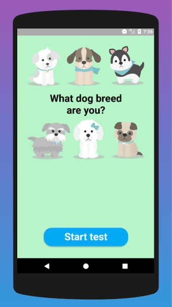 What dog breed are you? Test