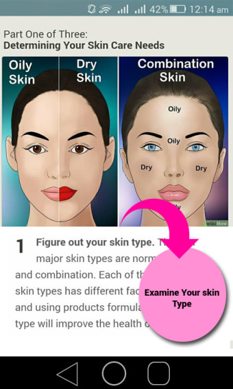 Skin Care Tips Ofline  Beauty Tips