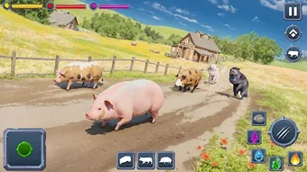 Angry Boar Pig Simulator