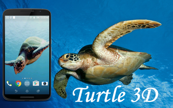 Turtle 3D Live Wallpaper