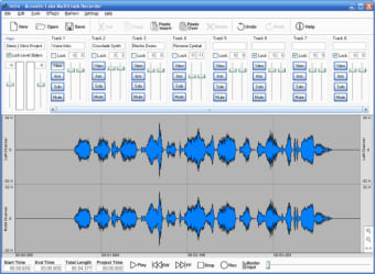 Acoustic Labs Multitrack Recorder