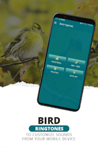 Ringtones bird sounds