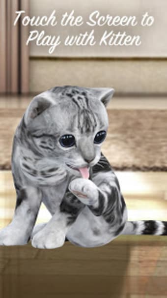 3D Cute Kitty Cat Live Wallpaper  Launcher