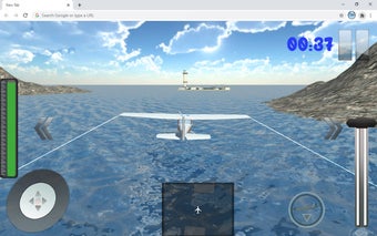 Flight-Plane Simulator Experience