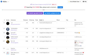 IGLike - Export IG Likes (email)
