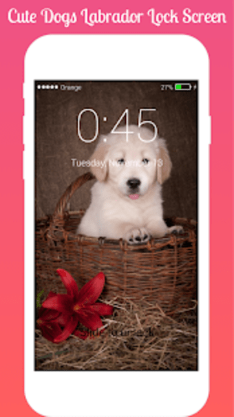 Cute Dogs Labrador Lock screen HD Applock security
