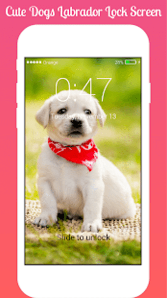 Cute Dogs Labrador Lock screen HD Applock security