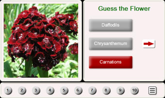 Guess the Flower: Tile Puzzles