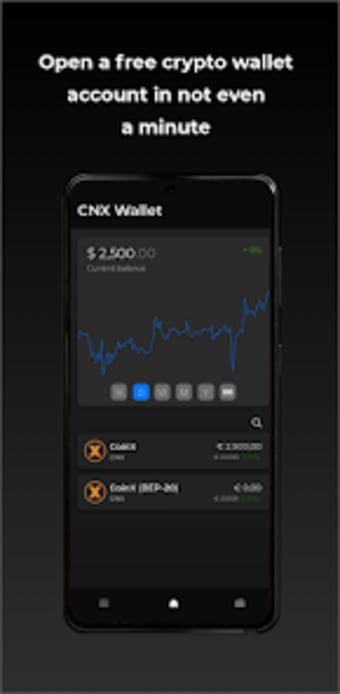 WalletX: Crypto Wallet