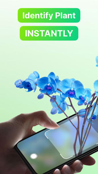 Flower Plant Identifier App