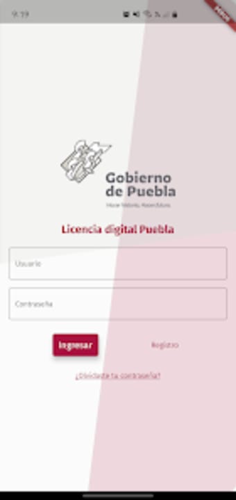 Licencia Digital Puebla