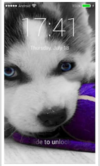 Husky Puppy HD Free PIN Lock screen Passcode