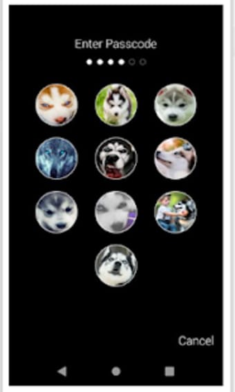 Husky Puppy HD Free PIN Lock screen Passcode