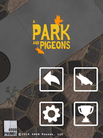 A Park And Pigeons