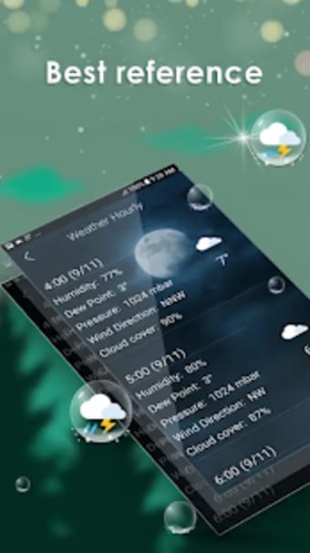 Weather Forecast - Live Weather
