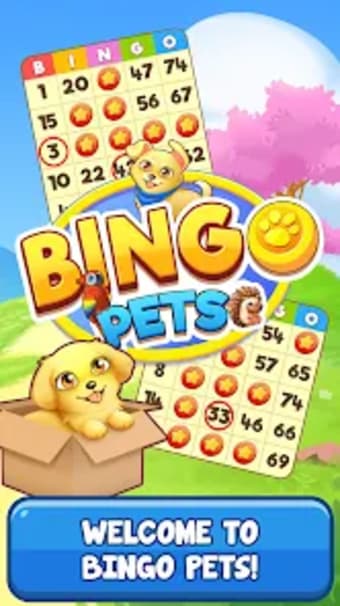 Bingo:  Free the Pets