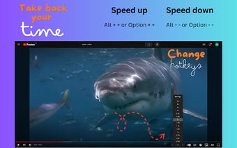 Youtube Custom Speed Control